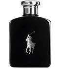 Polo Black Ralph Lauren for men