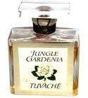 Jungle Gardenia