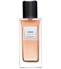 Caban Yves Saint Laurent for women and men