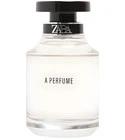 A Perfume Zara for women