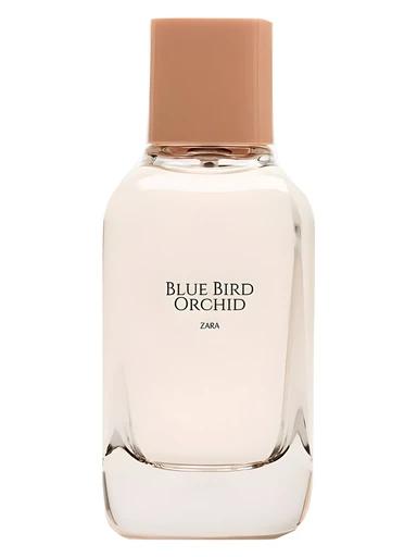 Blue Bird Orchid Zara for women