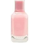 Fizzy Pink Zara for women