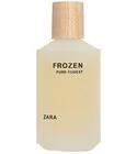 Frozen Pure Forest Zara for men