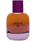 Gardenia Eau de Parfum Zara for women