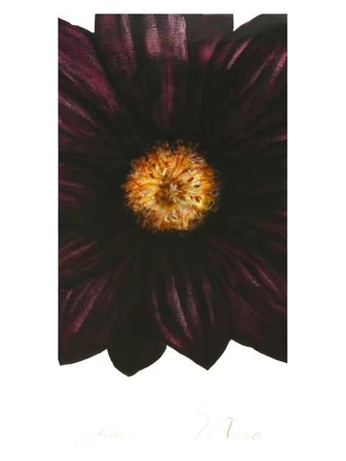 Jasmine Musc Zara for women