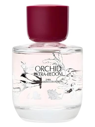 Orchid Extra-Bloom Zara for women