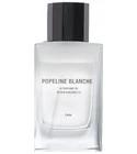 Popeline Blanche Zara for men