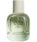 Unusual Flower Zara for women