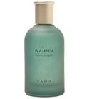 Waimea Zara for men