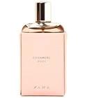 Zara Cashmere Rose Zara for women