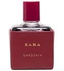 Zara Gardenia 2016 Zara for women