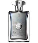 Reflection 45 Man Amouage for men