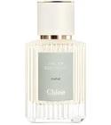Chêne Chloé for women and men