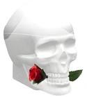 Ed Hardy Skulls & Roses for Her