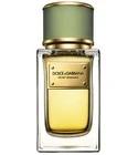 Velvet Bergamot Dolce&Gabbana for men