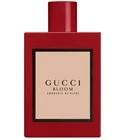 Gucci Bloom Ambrosia di Fiori Gucci for women