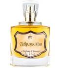 Tulipano Nero