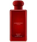 Scarlet Poppy Intense Jo Malone London for women and men