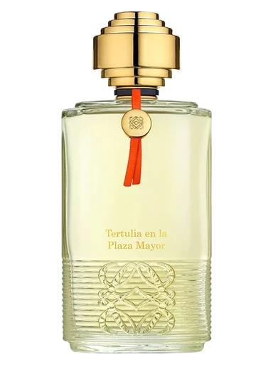 Tertulia en la Plaza Mayor