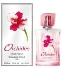 Orchidee