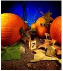 Gunnerson's Pumpkin Patch