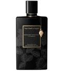 Moonlight Patchouli Le Parfum