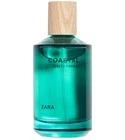 Coastal Salty Forest Zara for men