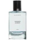 Tender Amber Zara for men
