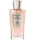 Acqua Nobile Rosa
