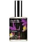 Calypso Orchid