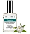 Gardenia