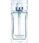 Homme Cologne 2013