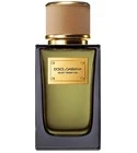 Velvet Tender Oud