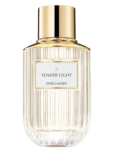 Tender Light
