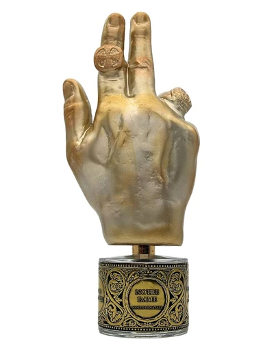 Notre Dame Notte di Natale