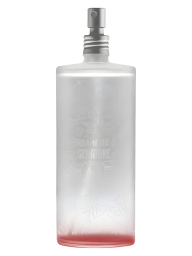 Cardamomo & Gengibre