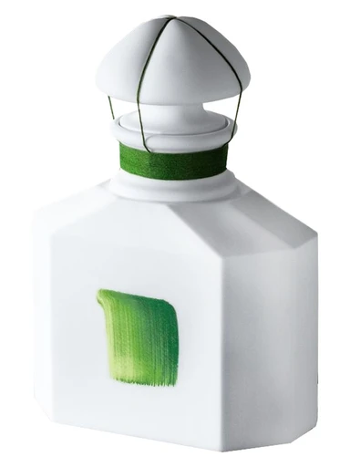 Souvenir d'Orchidée