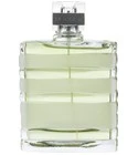 Vetiver Frozen Fragrance