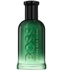 Boss Bottled Bold Citrus