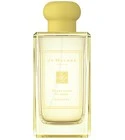 Frangipani Flower Cologne
