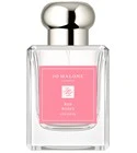 Red Roses Cologne (2023