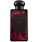 Velvet Rose & Oud Rich Extrait