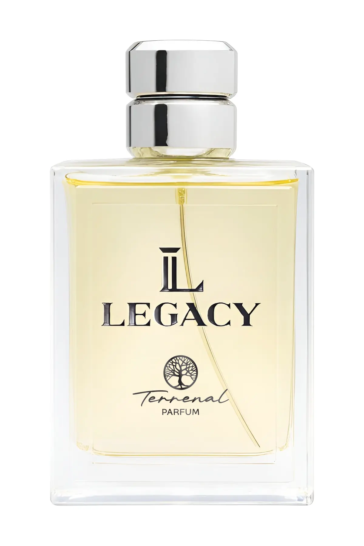 Legacy Terrenal