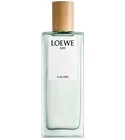 A Mi Aire Loewe for women