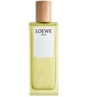 Agua de Loewe Loewe for women and men