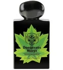 Dangerous Maryx Limited Edition