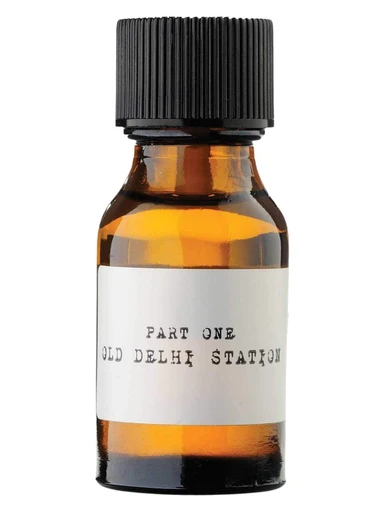 Smell of Freedom Part 2: Old Delhi Station