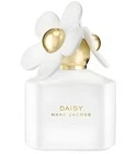 Daisy 10th Anniversary Edition