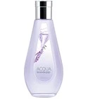 Acqua Lavanda Pop