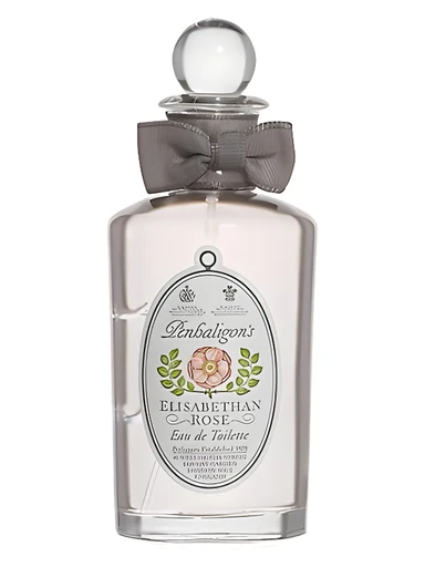 Elisabethan Rose Vintage